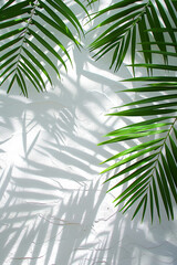 Poster - Sunlight casting shadows of palm leaves on a white textured wall, creating a tropical and serene atmosphere.