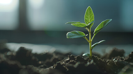 Poster - Business growth