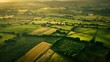 © Ethan - Aerial view of rural landscape in Somerset, England