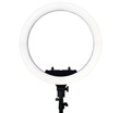 © gangster9686 - LED Ring Light Dimmable Lighting isolated isolated on a transparent background.