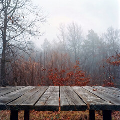 Poster - Rustic wooden table providing space for product display against a backdrop of a misty autumn forest