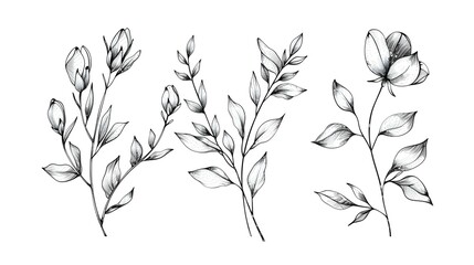 Floral branch and minimalist flowers for logo design