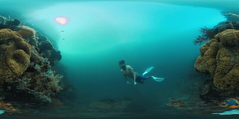 Sticker - VR 360 underwater footage of the male freediver swimming on the healthy coral reef in Raja Ampat region in Indonesia. Clip has native sound