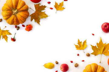 Wall Mural - pumpkin, acorns, red berries, red apples, yellow pear and autumnal colorful maple leaves on a white 