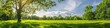 © Alona - Trees Field. Summer Panorama of Park Meadow with Green Trees and Blue Sky