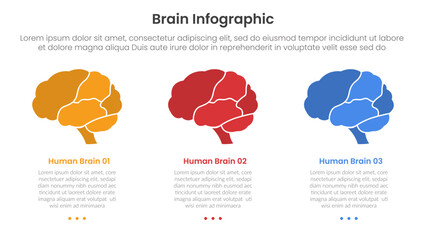 Poster - human brain infographic template banner with human brain part on horizontal direction with 3 point l