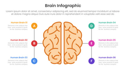 Poster - human brain infographic template banner with human brain top view line with circle line straight path with 6 point list information for slide presentation