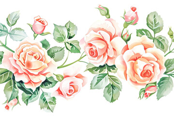 Wall Mural - Pink roses with green leaves on white background