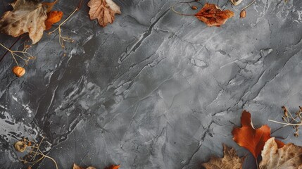 Canvas Print - Gray background marbled with dried leaves on the edge