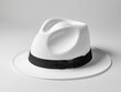 © dimas - white fedora hat isolated on white background