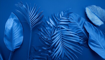 Wall Mural - foliage plant in blue color with copy space background