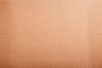 Poster - Close-up texture of a brown cardboard surface with natural patterns and lines, ideal as background for design projects or packaging concepts.