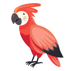 red parrot vector illustration