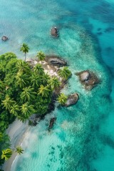 Wall Mural - A beautiful blue ocean with palm trees and rocks. The ocean is calm and peaceful