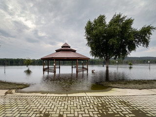 Wall Mural - flooding of mississippi river park gazebo and tree