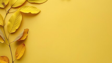 Poster - Yellow leaves on a branch with a bright yellow background