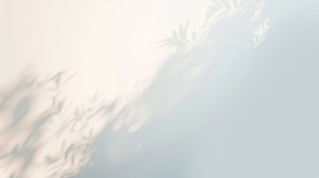 A white backdrop featuring a soft gradient effect from top to bottom, perfect for minimalist and serene designs.