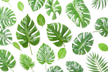 Poster - Tropical Leaves Pattern on White Background