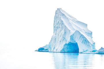 Canvas Print - Iceberg in the Ocean