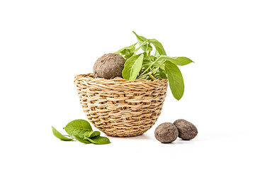 Canvas Print - Fresh Green Leaves with Brown Fruits in a Wicker Basket