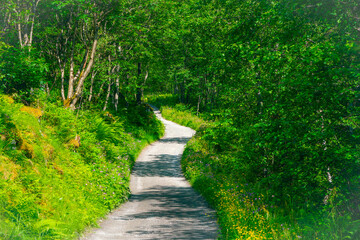 Sticker - A hiking trail leading through the landscape conservation area of the Utladalen Valley, in Western Norway.