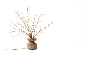 Canvas Print - Dried Branches in a Clay Vase