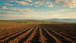 © hanafi 99d - Ploughed Field at Sunset