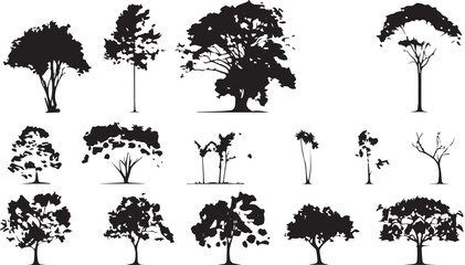 Tree black outline drawings on white background