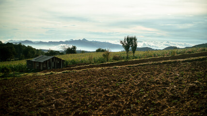 La tierra y el campo