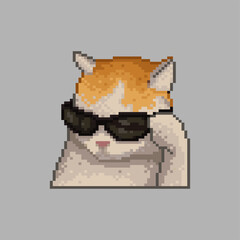 Cat with sunglasses, pixel art meme