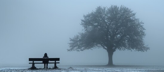 Poster - Solitude in the Foggy Landscape