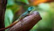 © ENMANUEL CAST - green lizard on a branch