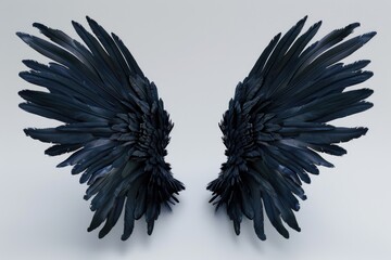 Poster - A close-up shot of a pair of black wings on a white background