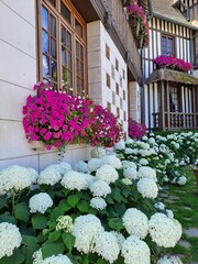 Canvas Print - flowers in front of house