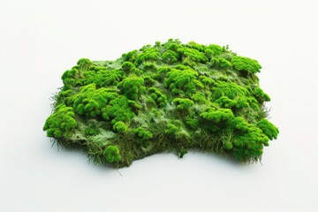 Aufkleber - A pile of green moss sitting on a white surface, ideal for use in nature-inspired designs or as a background element