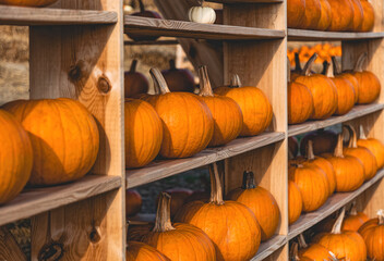 Poster - Pile of pumpkins, Halloween decorations