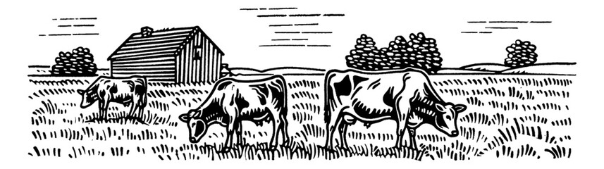 Wall Mural - cow field landscape engraving black and white outline