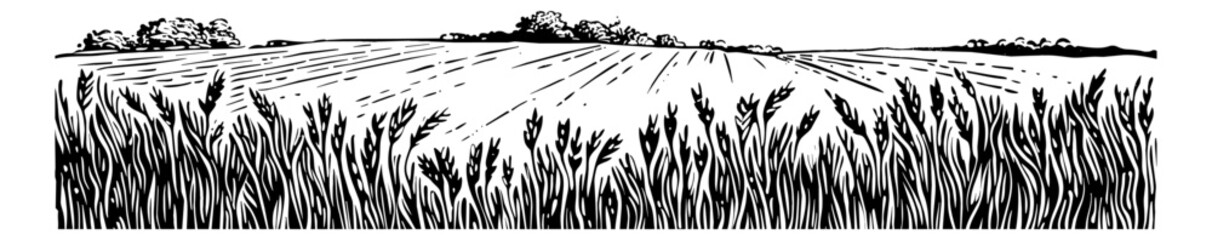 Wall Mural - wheat field engraving black and white outline