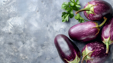 Wall Mural - eggplants on a copy space background