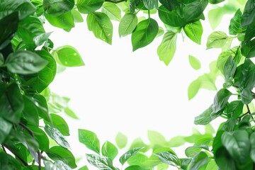Poster - A decorative green leafy frame against a white sky, perfect for use as a border or design element