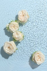 Wall Mural - Beautiful rose flowers in water on light blue background, top view