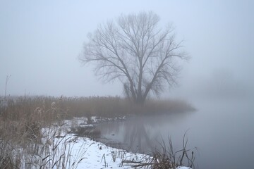 Canvas Print - Low-hanging fog 