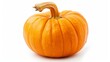 © Thodsaporn - Pumpkin isolated on white background