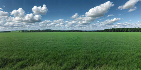 green grass field with blue skies and rolling clouds