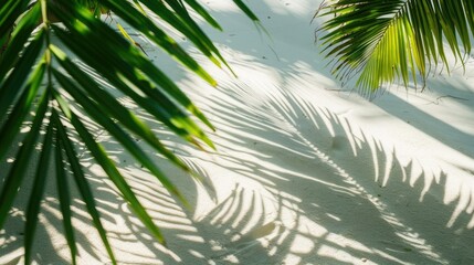 Poster - A tropical beach with pure white sand, palm tree leaves casting soft shadows, and sunlight filtering through the leaves. 