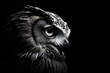 © Rawpixel.com - Half face of owl photography monochrome animal.