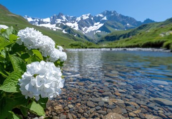 Wall Mural - Serene mountain lake with blooming white flowers