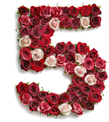 Wall Mural - Rose numbers isolated on transparent background. PNG