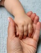 © Eggy - Female Adult hand Holding Small Newborn Hand - Grown Up offering Palm to Baby - Little Child holding Fingers of Mother - Adoption, Parenthood, Family, Parenting, Generation, Protection, Trust, Support