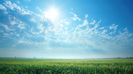 Wall Mural - Sun Shining Through Clouds Over Green Field